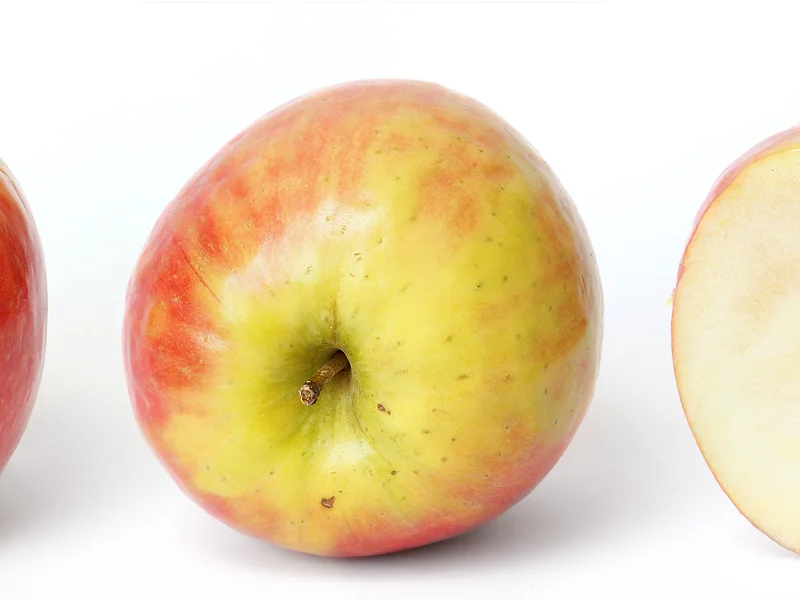 Apple (Malus domestica) growing in a UK garden