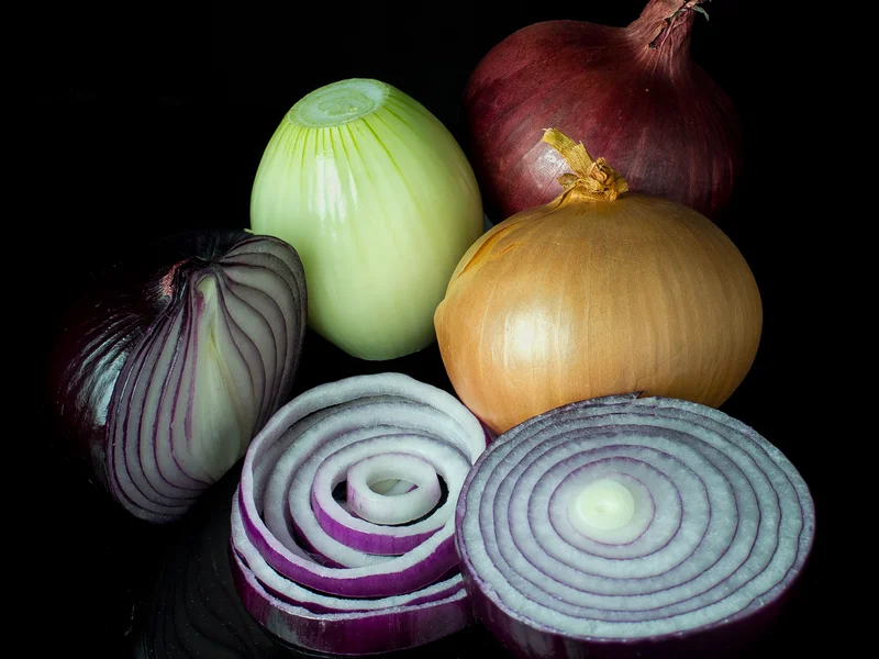 Onion (Allium cepa) growing in a UK garden