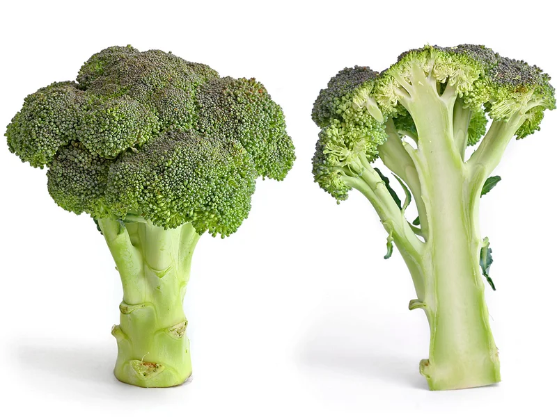 Purple Sprouting Broccoli (Brassica oleracea italica) growing in a UK garden