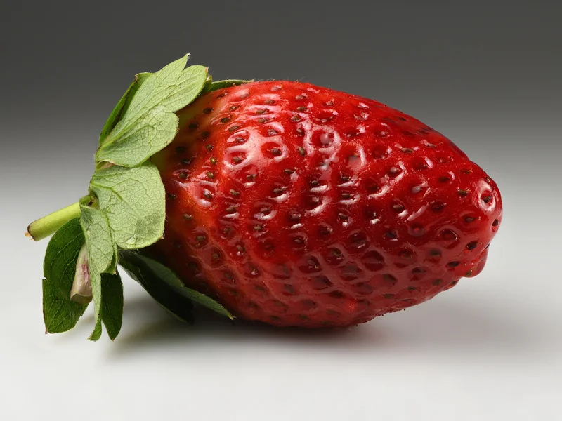 Strawberry (Fragaria x ananassa) growing in a UK garden