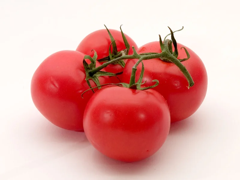 Cherry Tomato (Solanum lycopersicum) growing in a UK garden